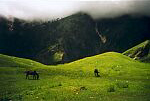 India - Manali